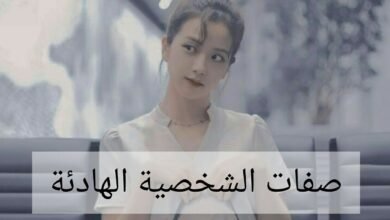 صفات الشخصية الهادئة: دليل شامل 4 صفات الشخصية الهادئة