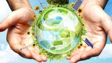 مفهوم التنمية