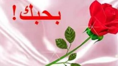 كلام حب للواتس آب