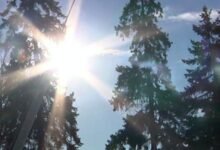 أجمل ما قيل عن الدنيا