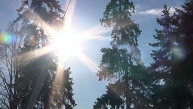 أجمل ما قيل عن الدنيا 5 أجمل ما قيل عن الدنيا