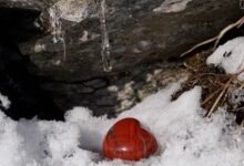 أحلى كلام لأغلى الناس