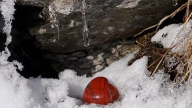 أحلى كلام لأغلى الناس 2 أحلى كلام لأغلى الناس