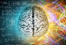 الفرق بين التفكير العاطفي والمنطقي 6 الفرق بين التفكير العاطفي والمنطقي