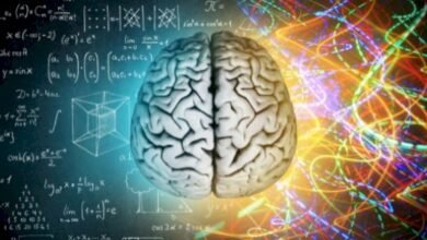 الفرق بين التفكير العاطفي والمنطقي 3 الفرق بين التفكير العاطفي والمنطقي