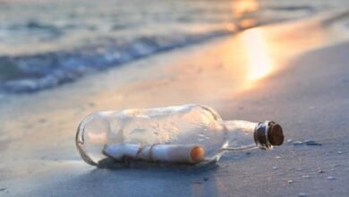 تحية مسائية للاصدقاء