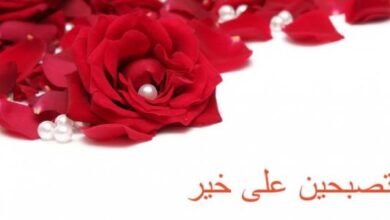 تصبحين على خير