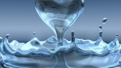 حكم عن القلب