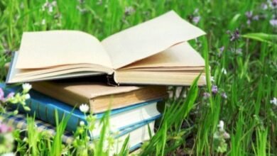 عبارات جميلة وقصيرة 3 عبارات جميلة وقصيرة