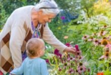 عبارات عن الجدة 6 عبارات عن الجدة