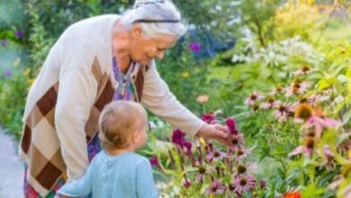 عبارات عن الجدة