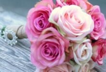 عبارات واتس آب قصيرة 2025 7 عبارات واتس آب قصيرة