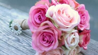 عبارات واتس آب قصيرة