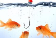 قوة الجذب 7 قوة الجذب