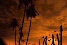 كلام عن الحب في الله