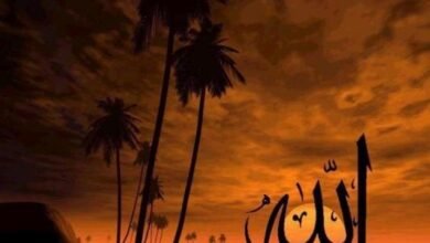 كلام عن الحب في الله 3 كلام عن الحب في الله