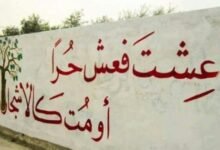 كلام عن الحرية 8 كلام عن الحرية