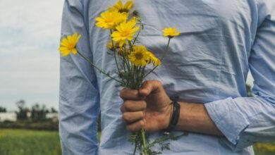 كلام عن الطيب 4 كلام عن الطيب