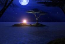 كلام عن هدوء الليل