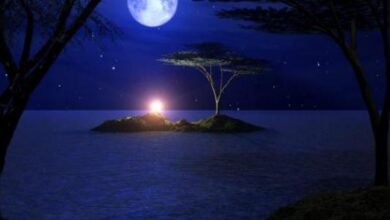 كلام عن هدوء الليل