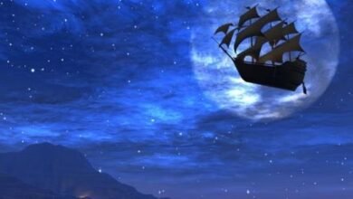 كلمات عن الأحلام