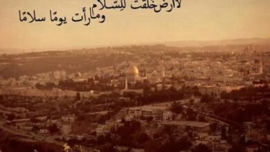 كلمات عن السلام