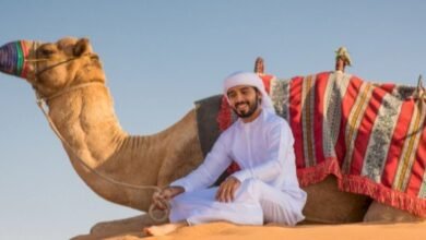 كلمات ناقتي ياناقتي