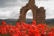 ولاية خنشلة 7 ولاية خنشلة