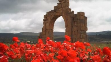 ولاية خنشلة